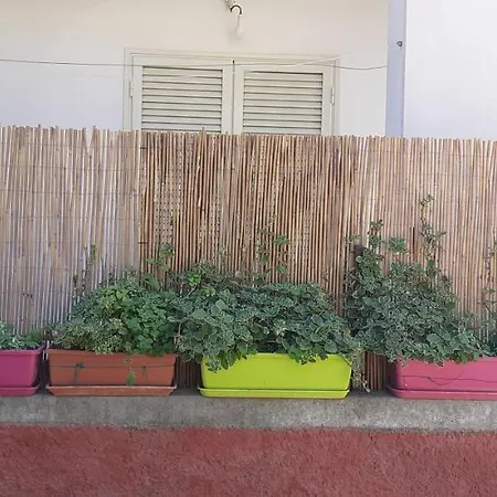 公寓 Extravagante 阿祖罗港