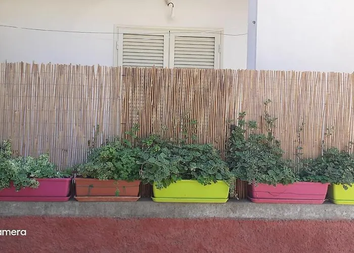 公寓 Extravagante 阿祖罗港